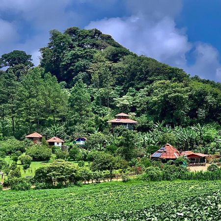 Finca Neblina Del Bosque Estelí 외부 사진