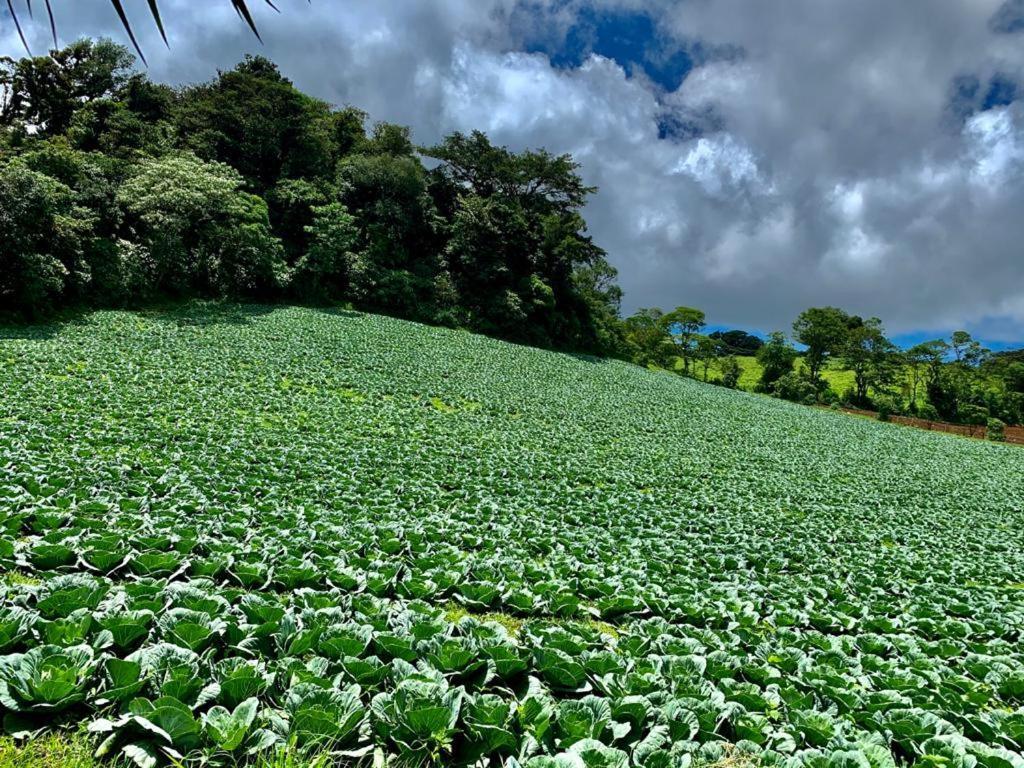 Finca Neblina Del Bosque Estelí 외부 사진