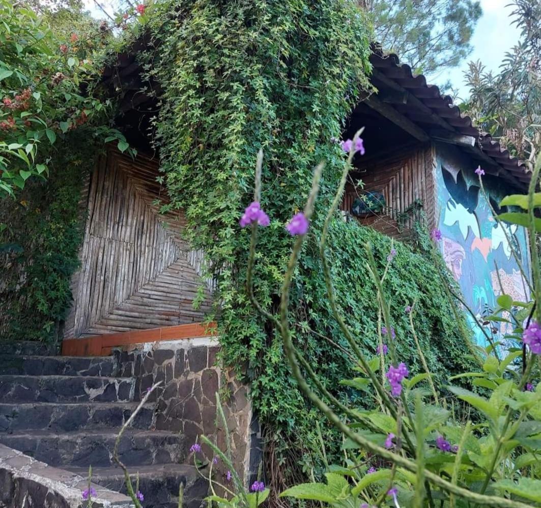 Finca Neblina Del Bosque Estelí 외부 사진
